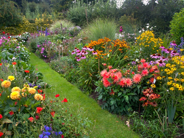 What to Do in the Garden in August