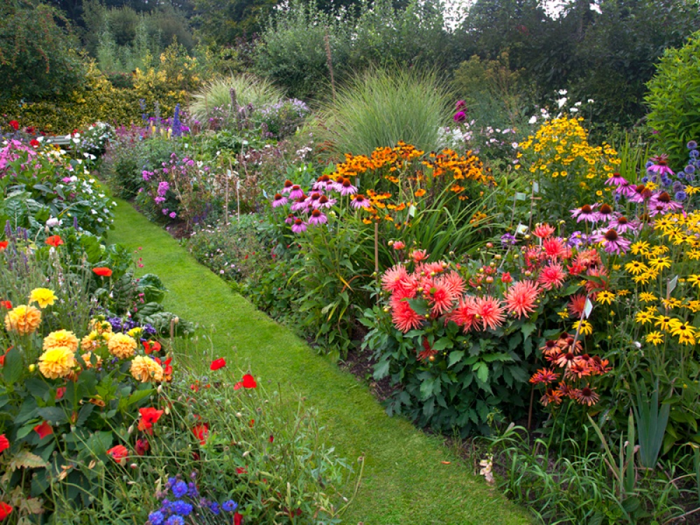 What to Do in the Garden in August
