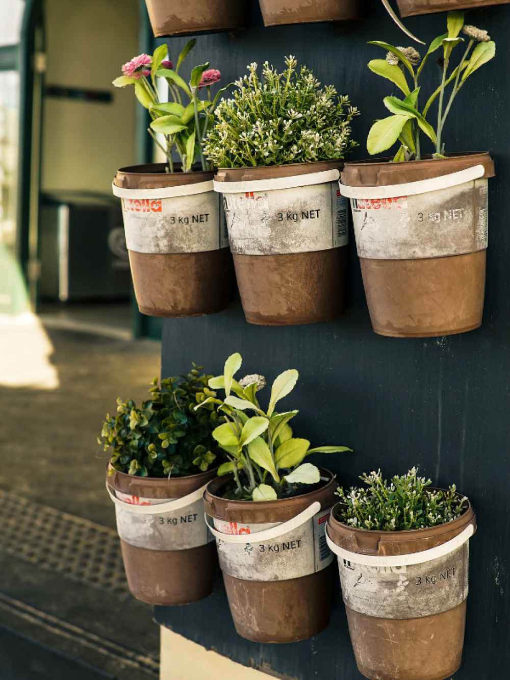 Gardening for your Wellbeing