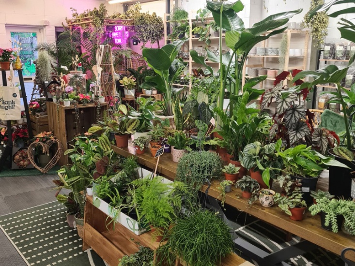 Poppy's Potting Shed