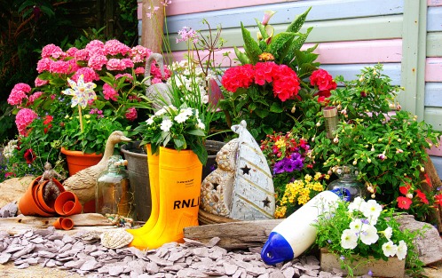 How to help save lives at sea by making the most of your garden