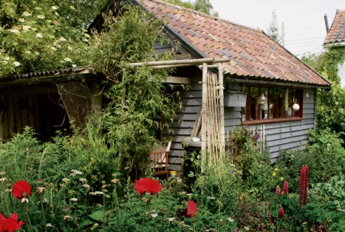 A Woman's Shed