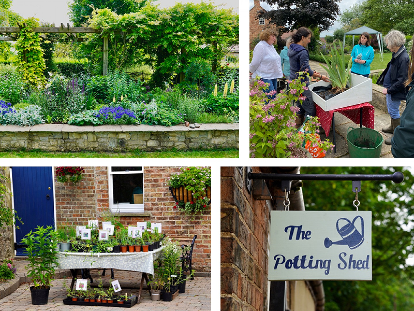 Yorkshire-based horticulturalist Georgina Bordewich talks to us about A Bright Prospect