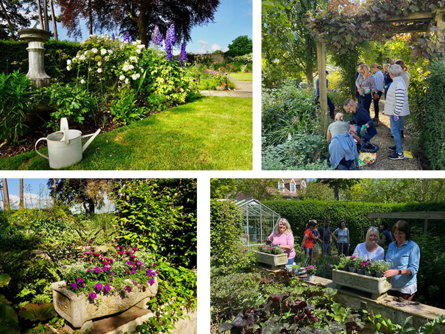 Yorkshire-based horticulturalist Georgina Bordewich talks to us about A Bright Prospect