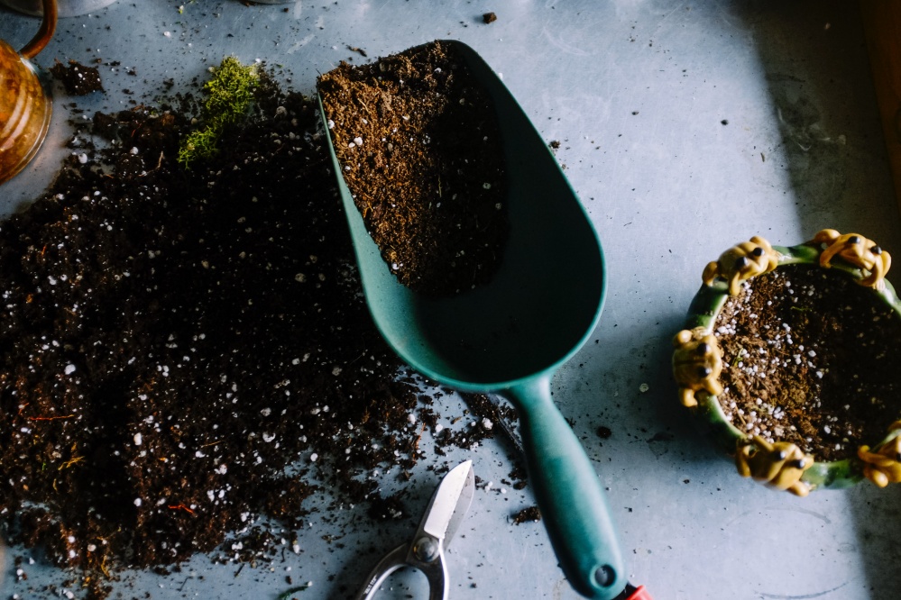 Earthly Biochar