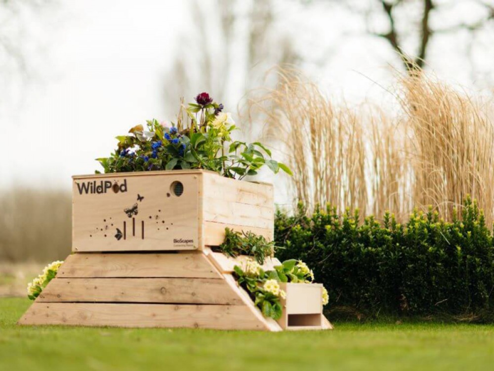wild pod planter