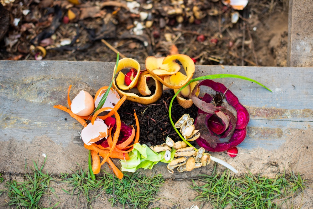 Food scraps for the garden