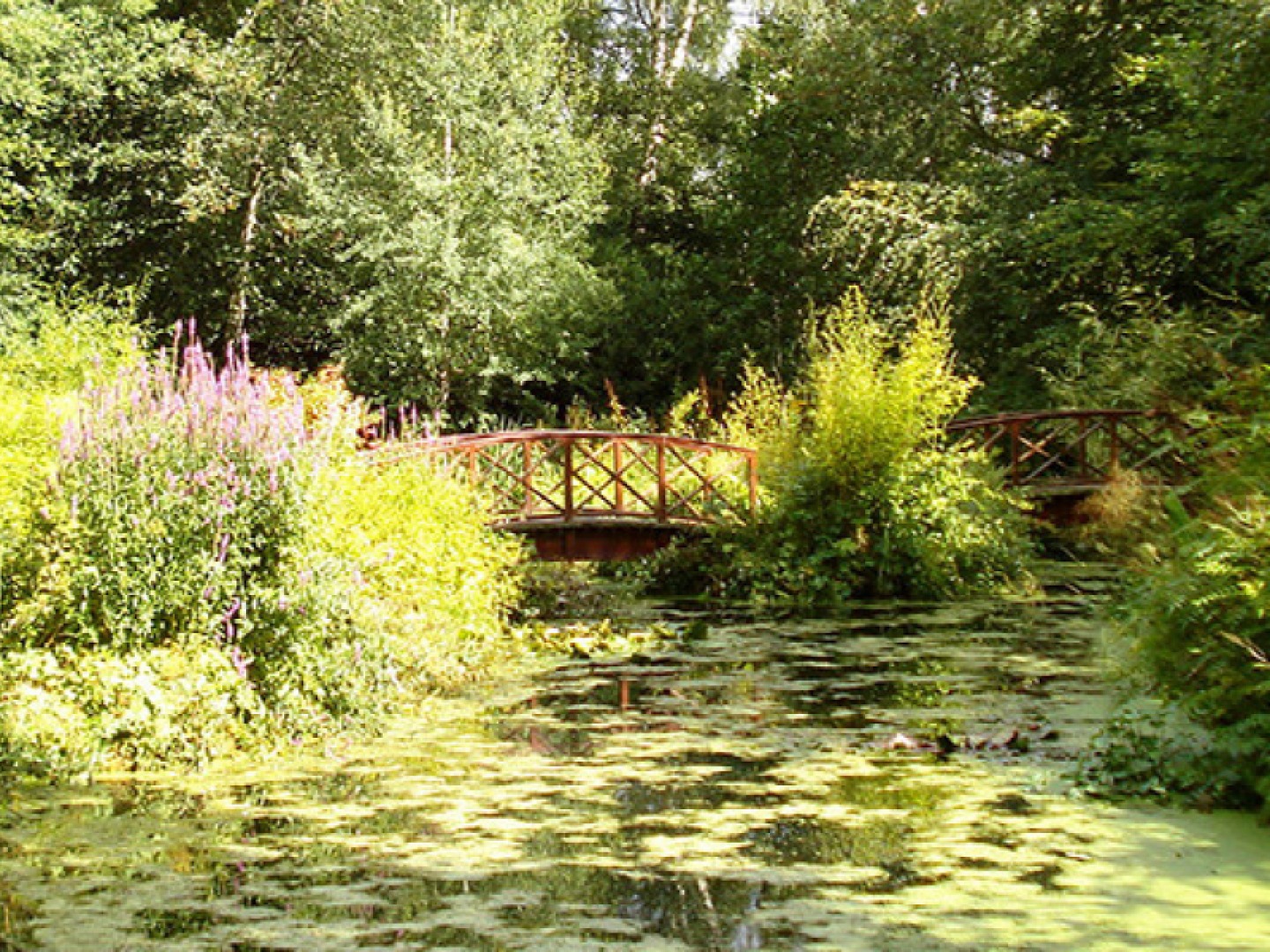 Monteviot House & Gardens
