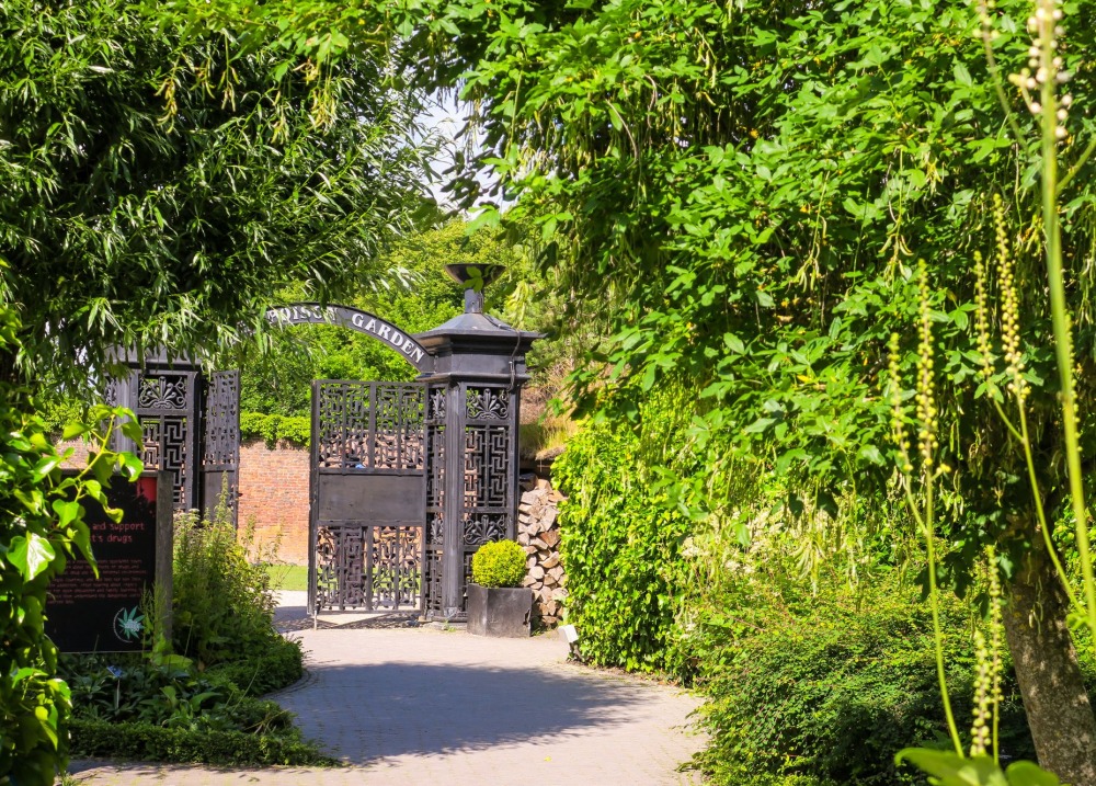 The Alnwick Garden