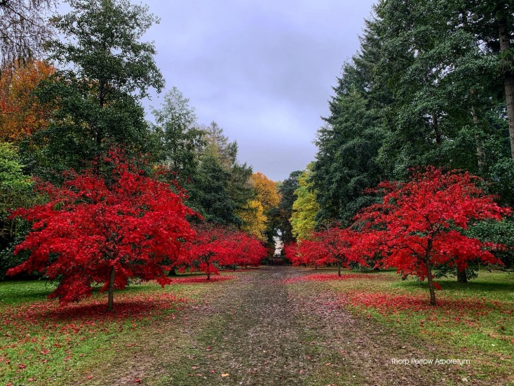 The Best Gardens to Visit Now