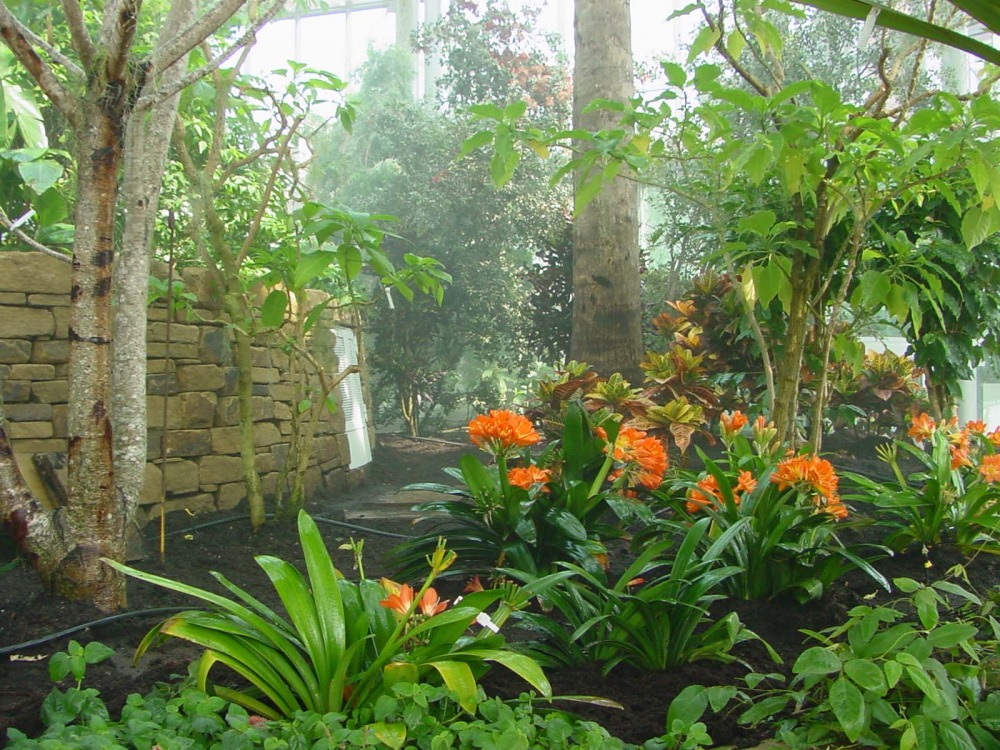 sunderlandculture.org.uk Museum and Winter Garden
