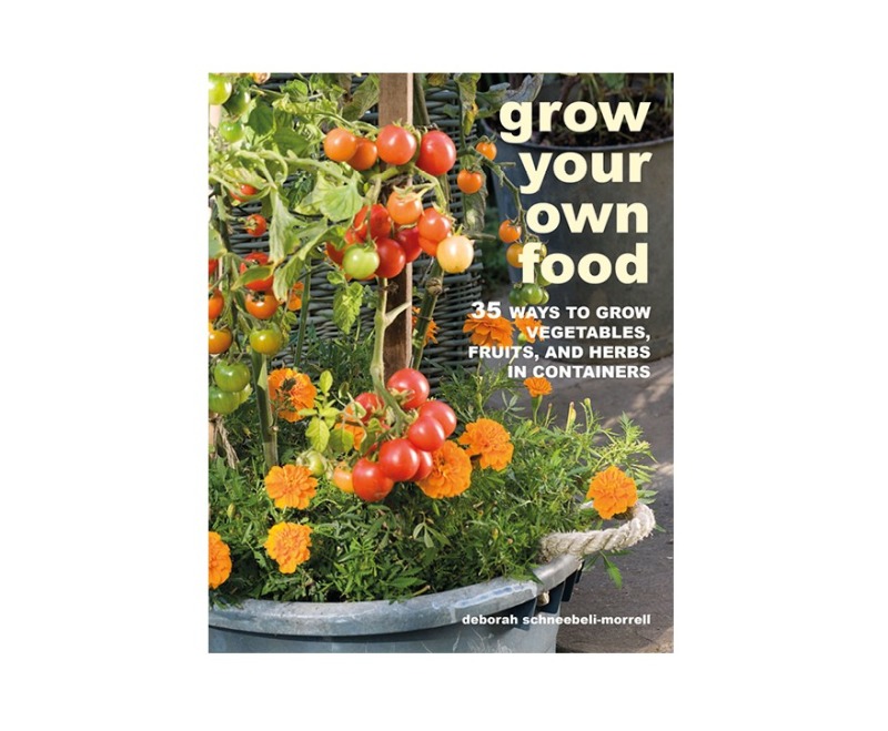 How to Grow Your Own Food in a Small Space | Living North