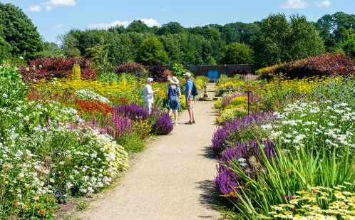 Hemsley Wall garden