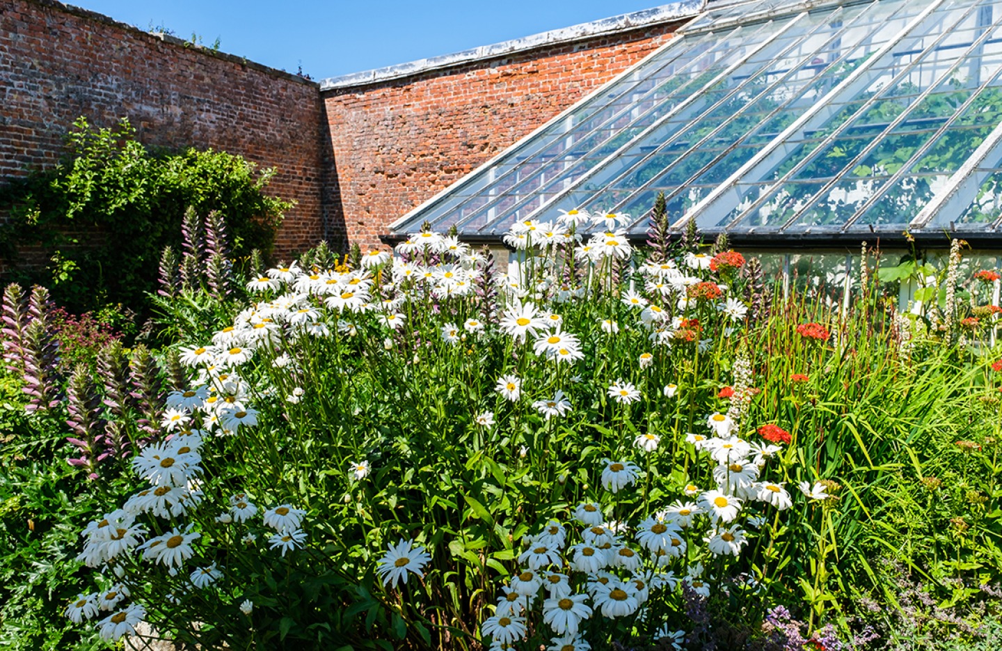 Hemsley Wall Garden