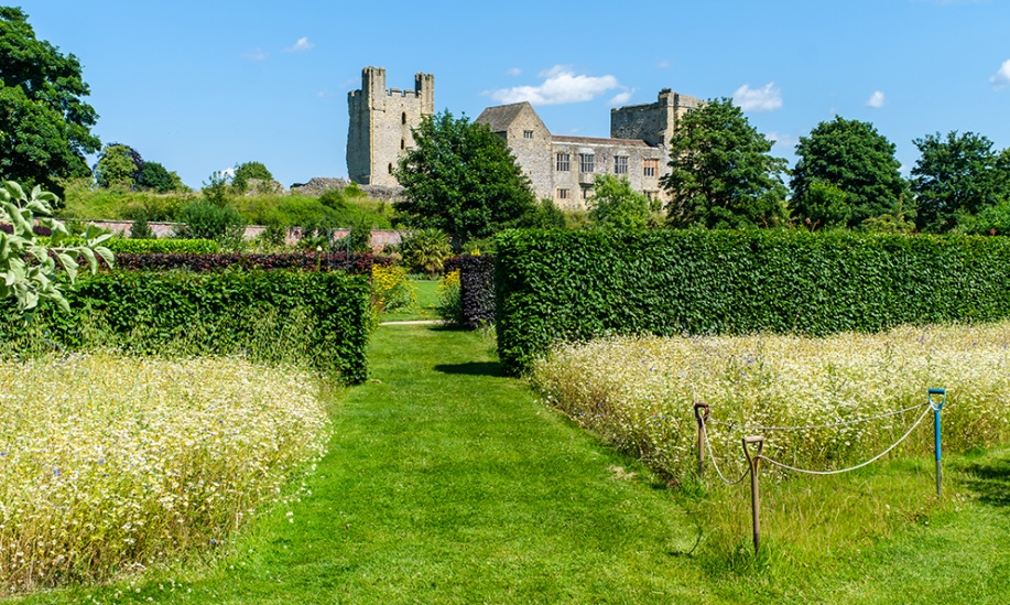 Over the Wall at Helmsley Walled Garden