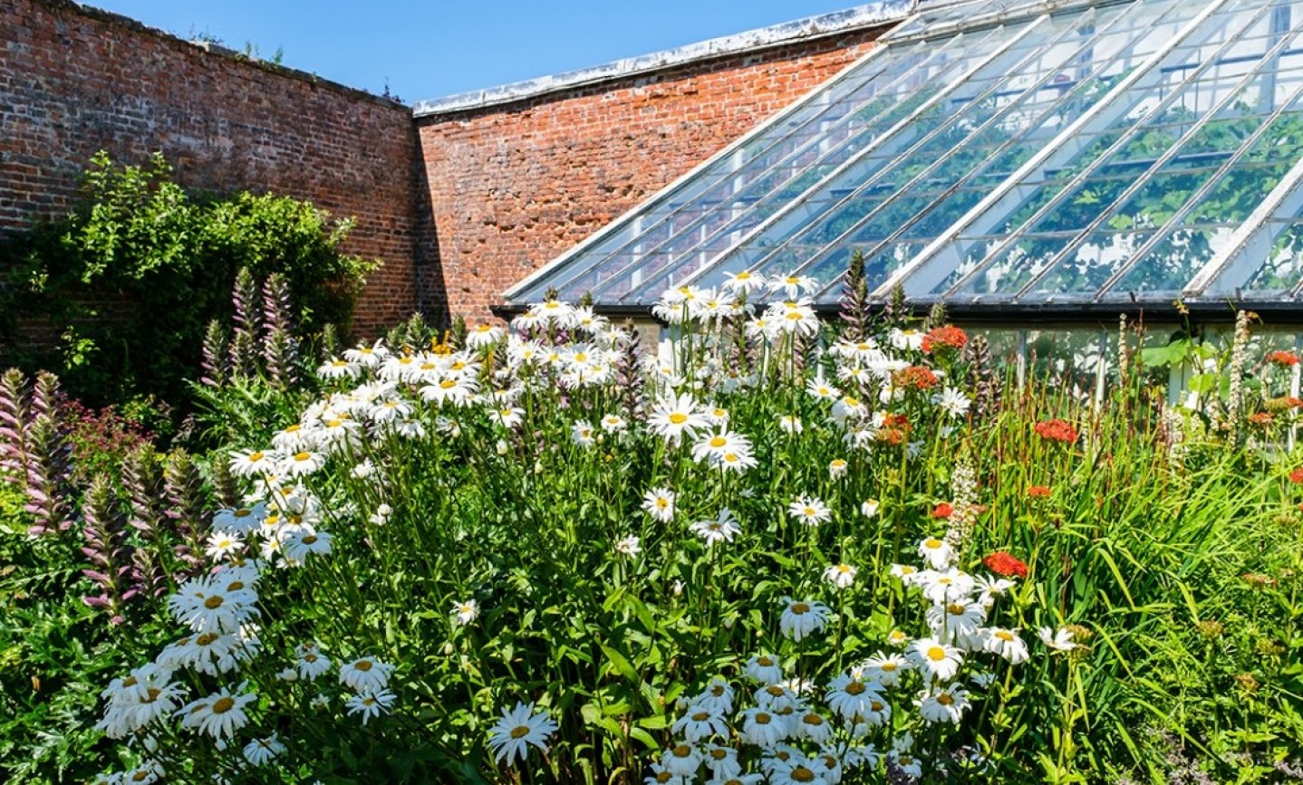 Hemsley Wall Garden