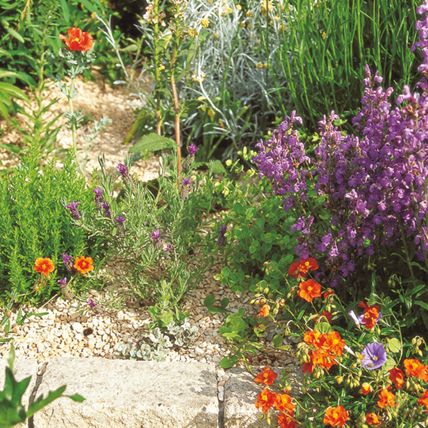 med gardens