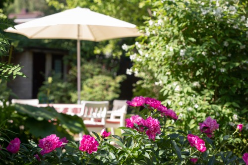 Great Garden Parasols