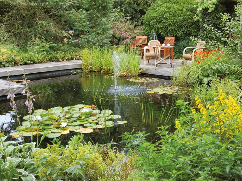 garden pond with water fountain