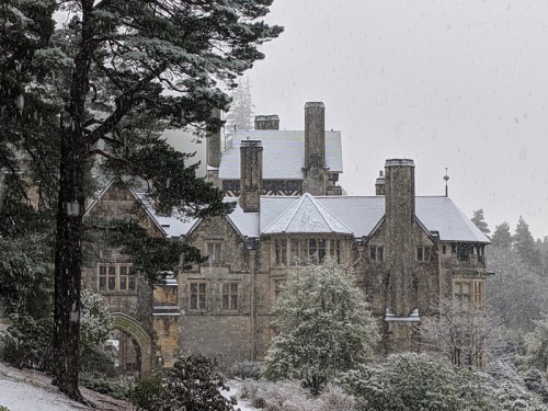 The North East's Must-Visit Gardens During The Winter Months