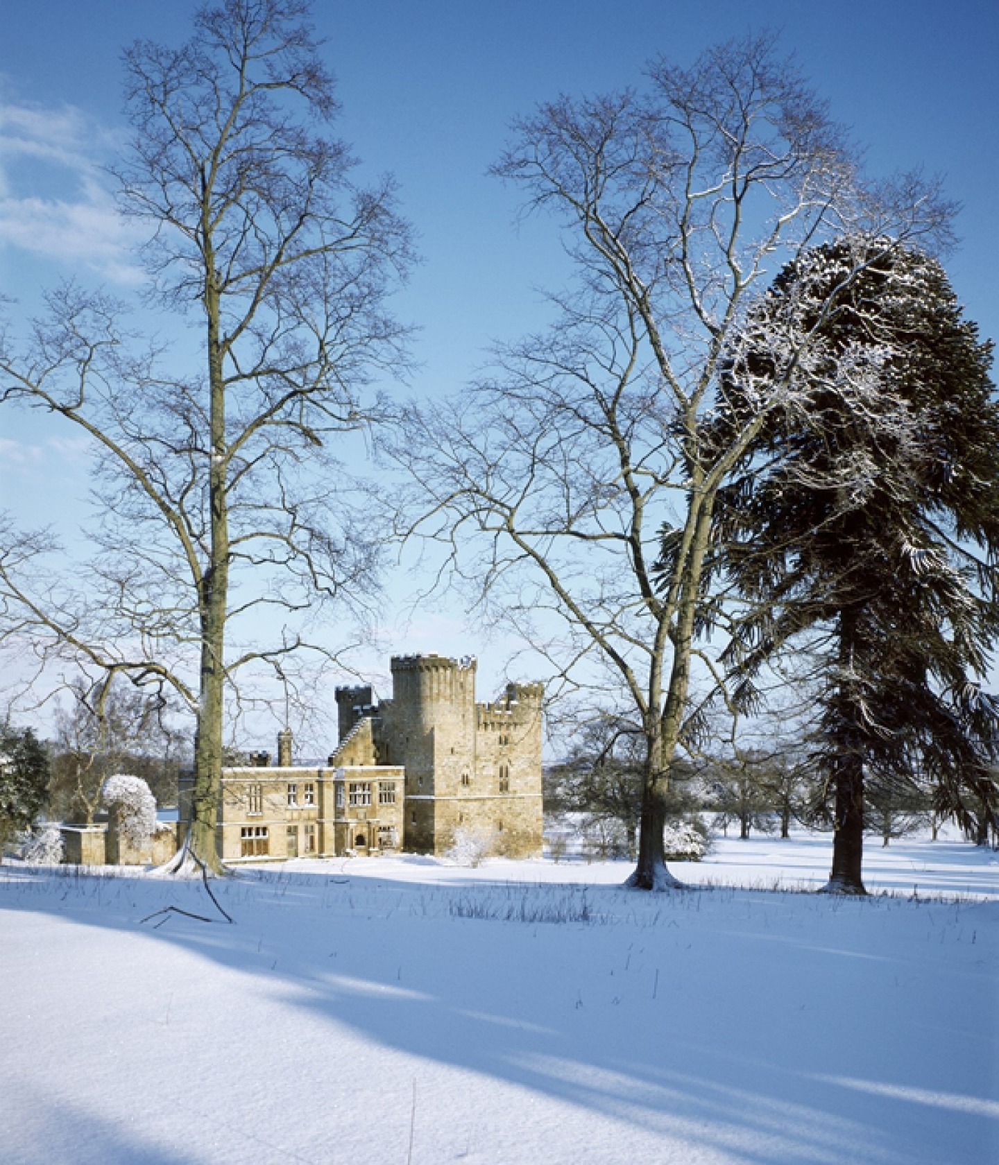 BELSAY HALL AND GARDENS