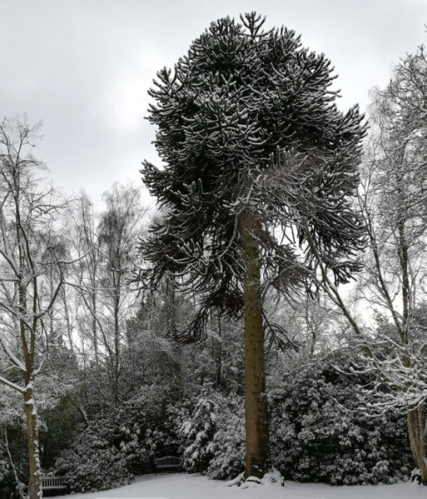DURHAM BOTANIC GARDENS
