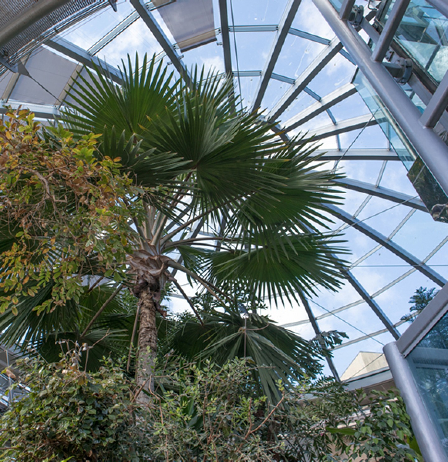 SUNDERLAND MUSEUM & WINTER GARDENS