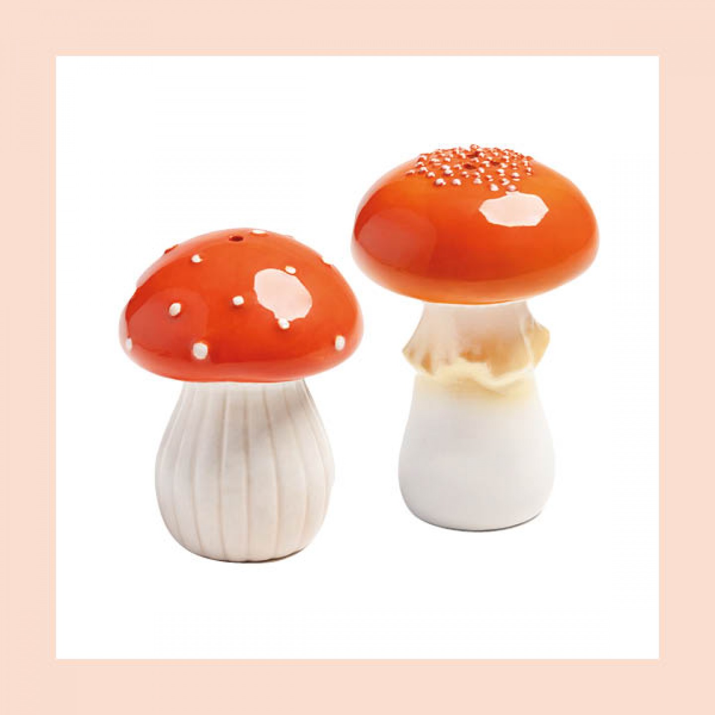 Mushroom Salt and pepper shakers