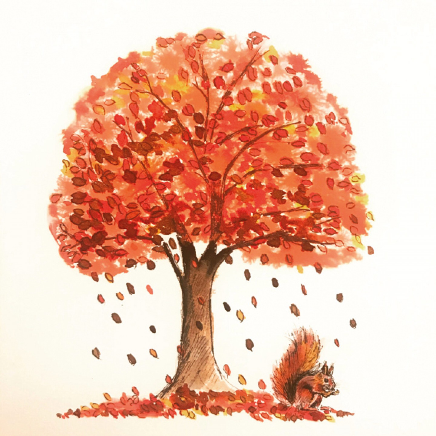 Autumn Squirrel original ink drawing