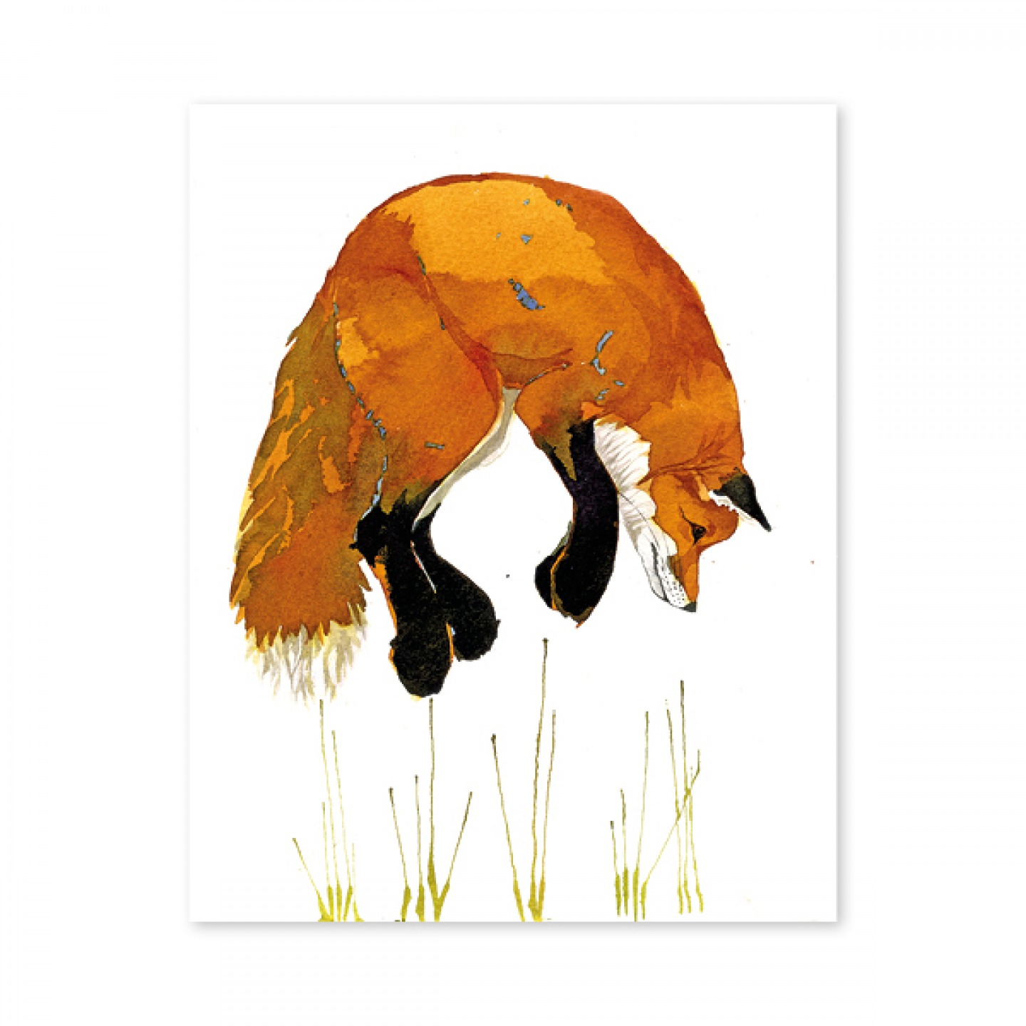 Fox, Leaping original water colour painting