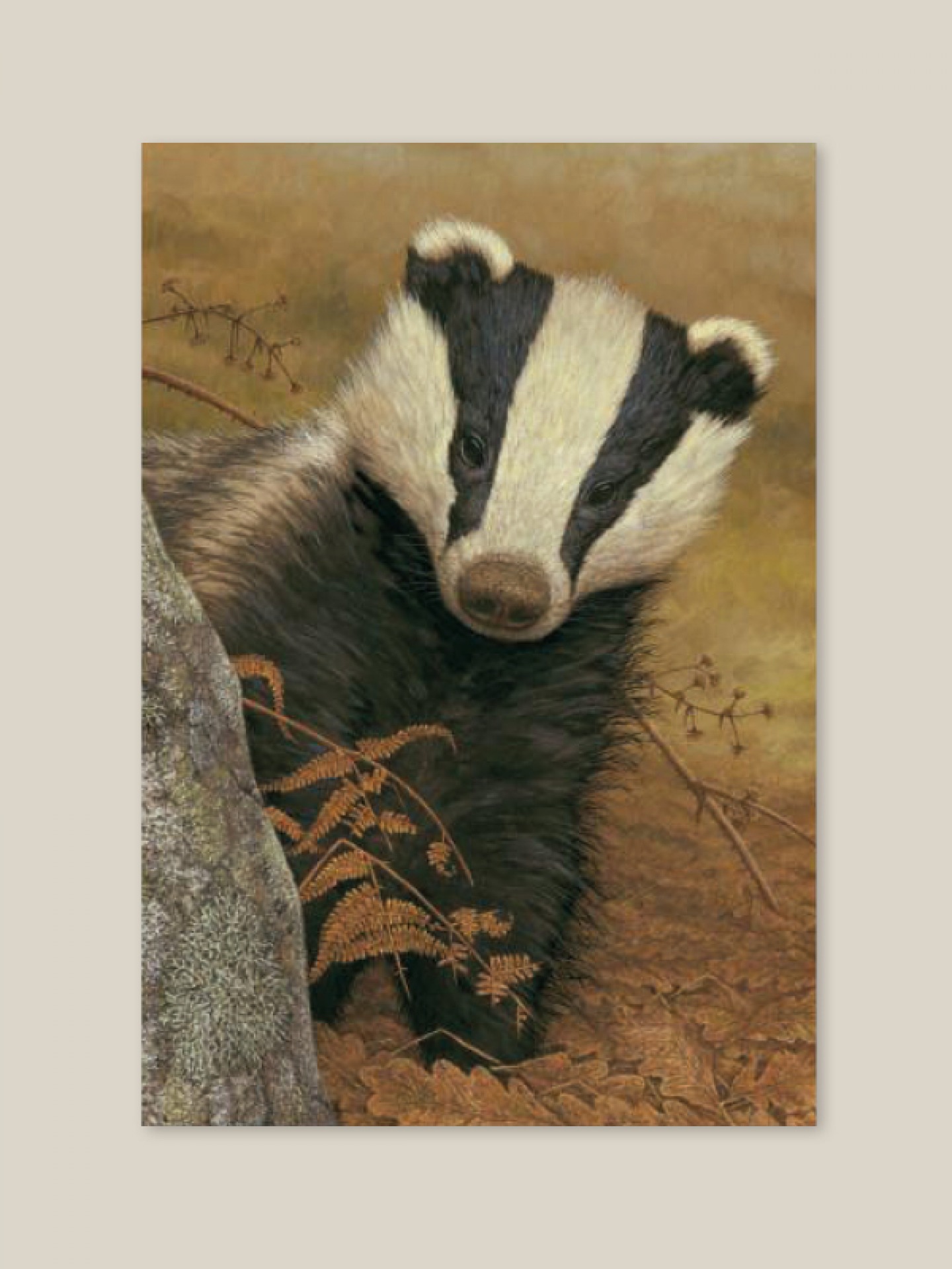 Badger On The Lookout limited edition print
