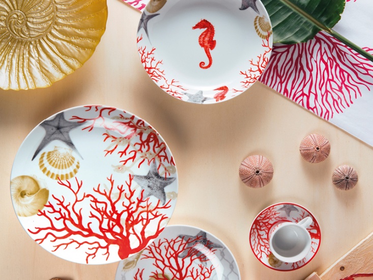 Arial view of sea themed tableware