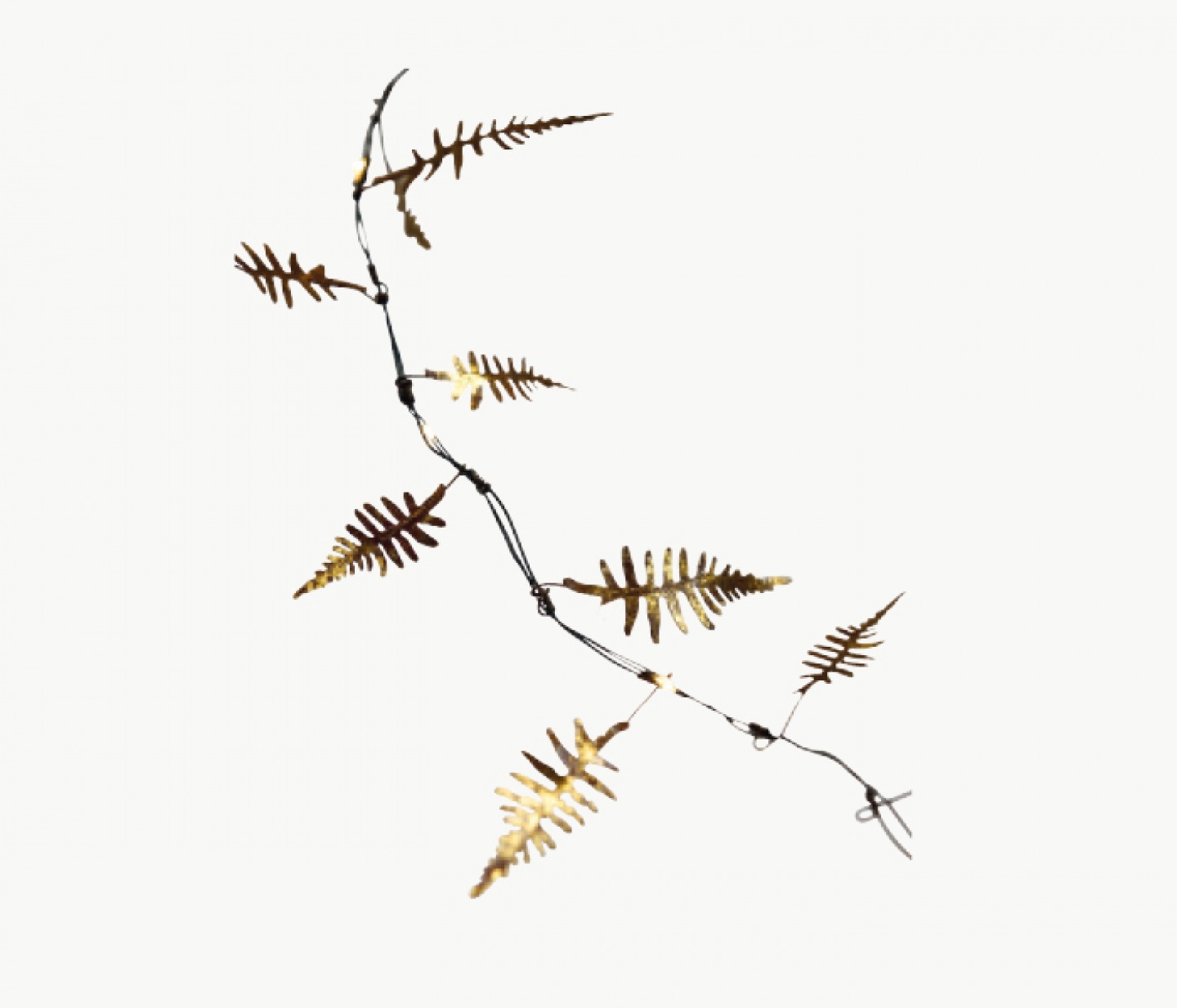 Fern gold fairy lights