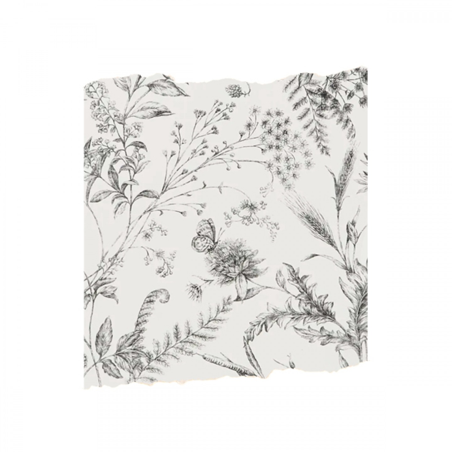 Fern toile wallpaper in Etched Black