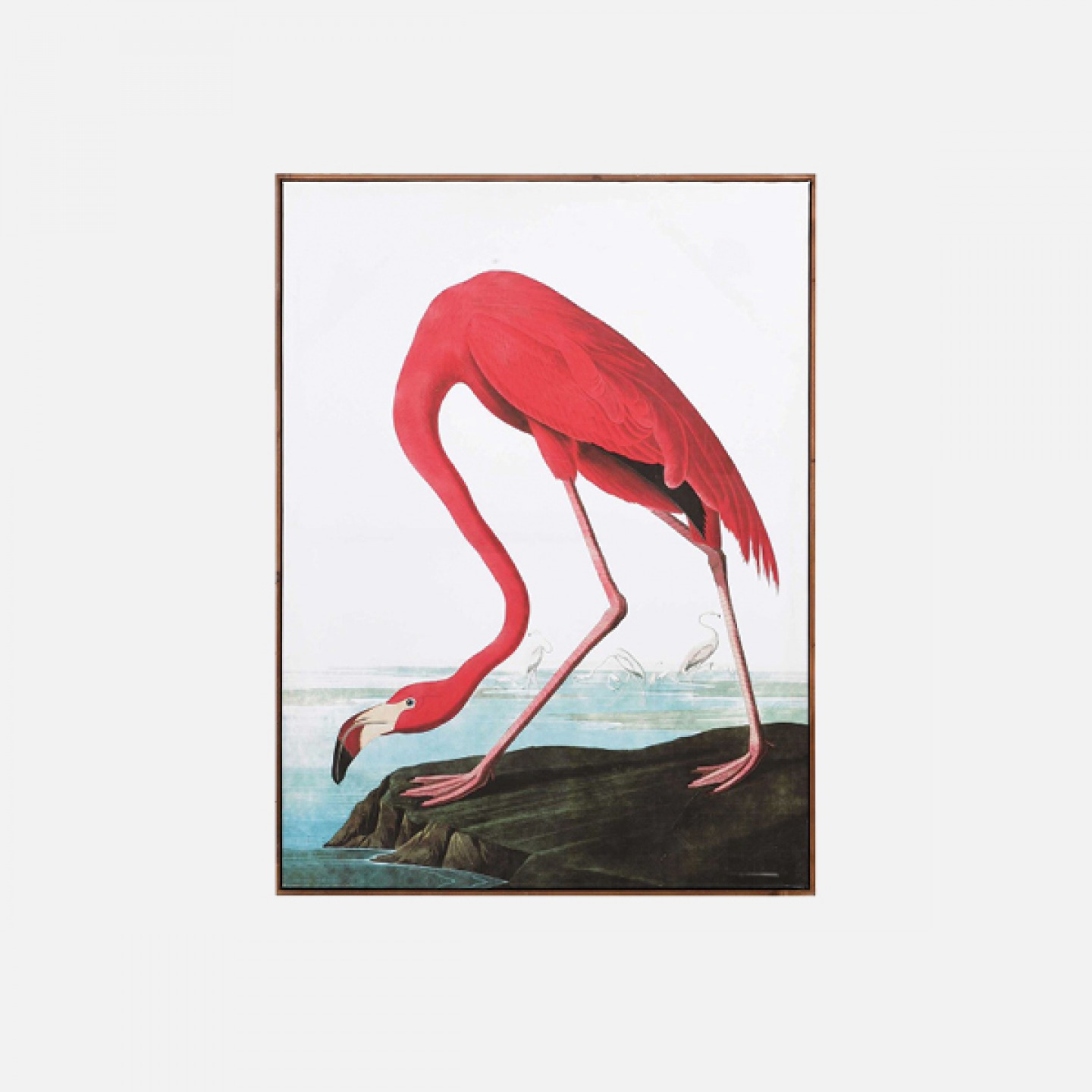 Flamingo pink picture