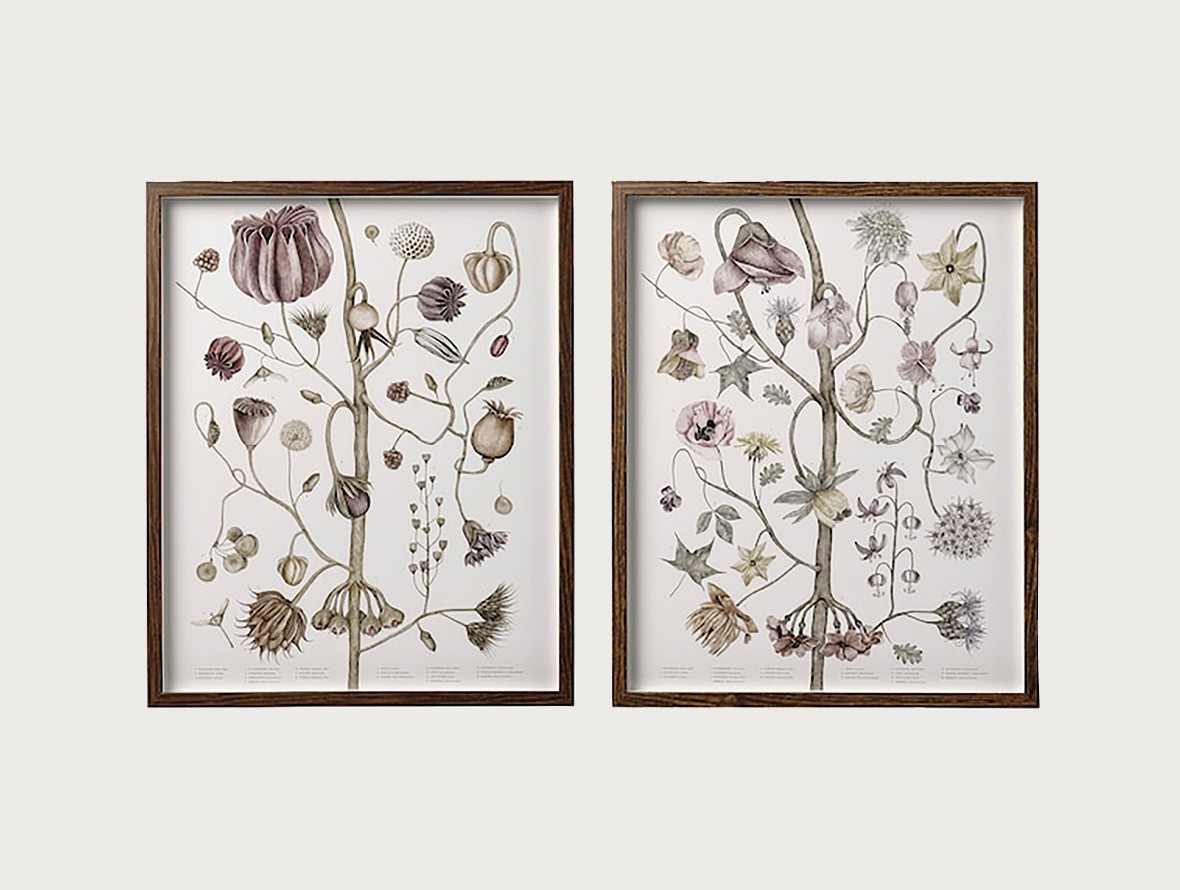 Hovsta frames with vintage flower posters