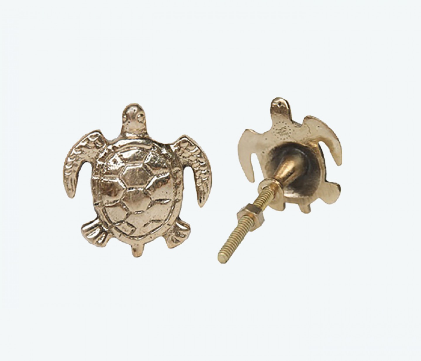 Turtle knob