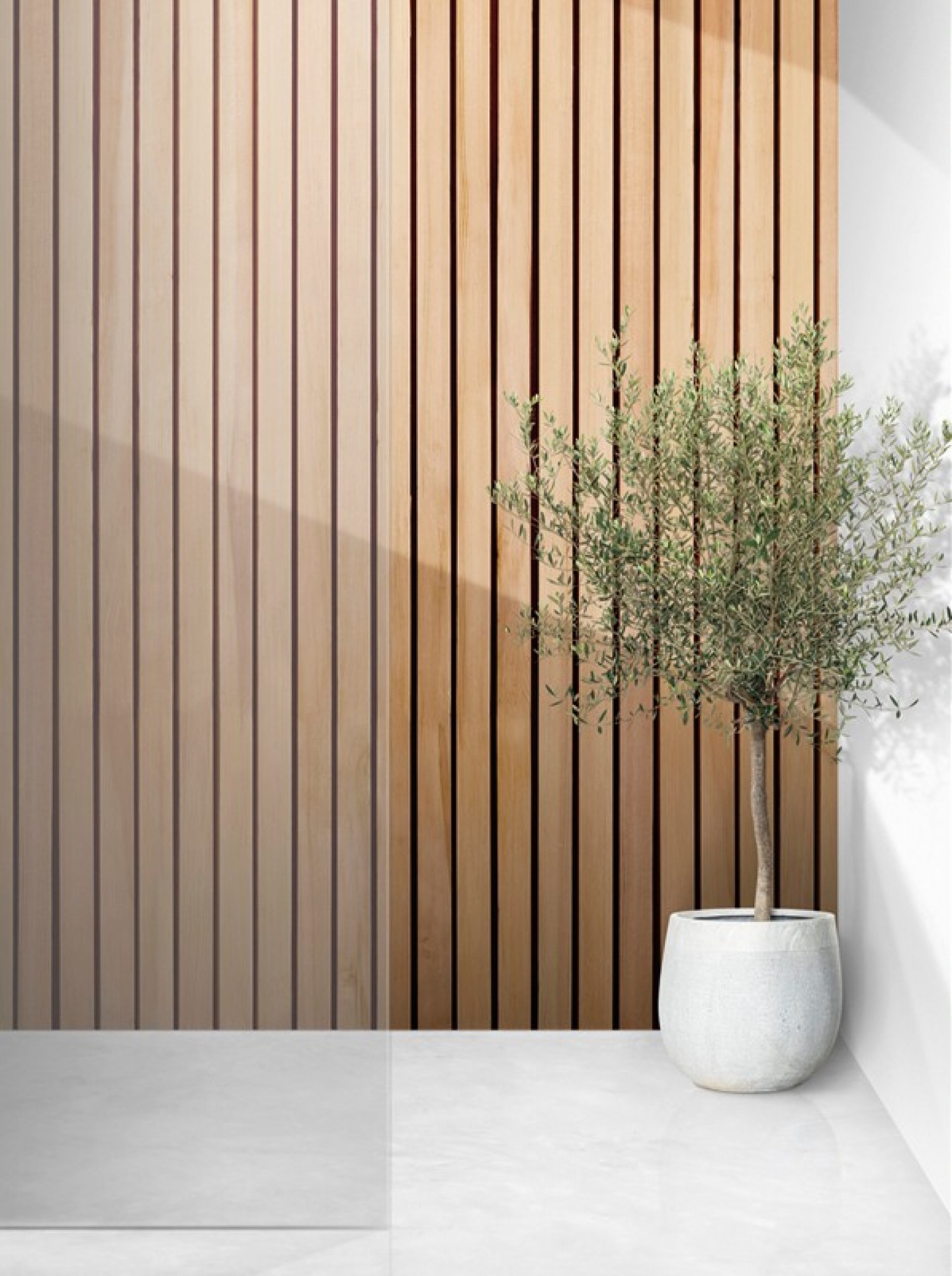 Feature panelled wall with potted plant