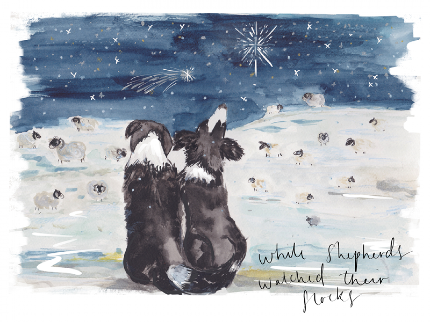 watercolour sheepdogs