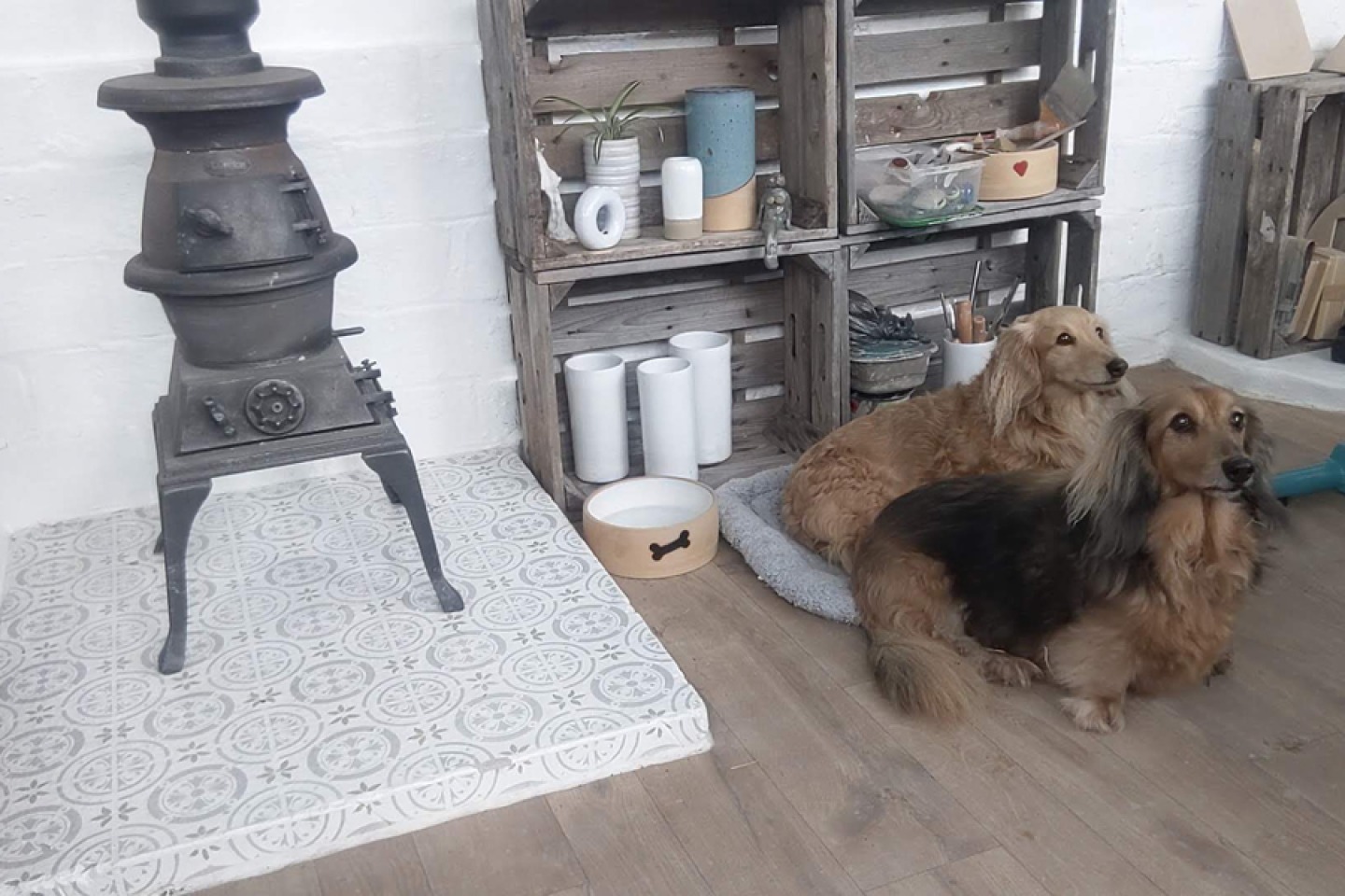 Jeanets dogs in her garden studio
