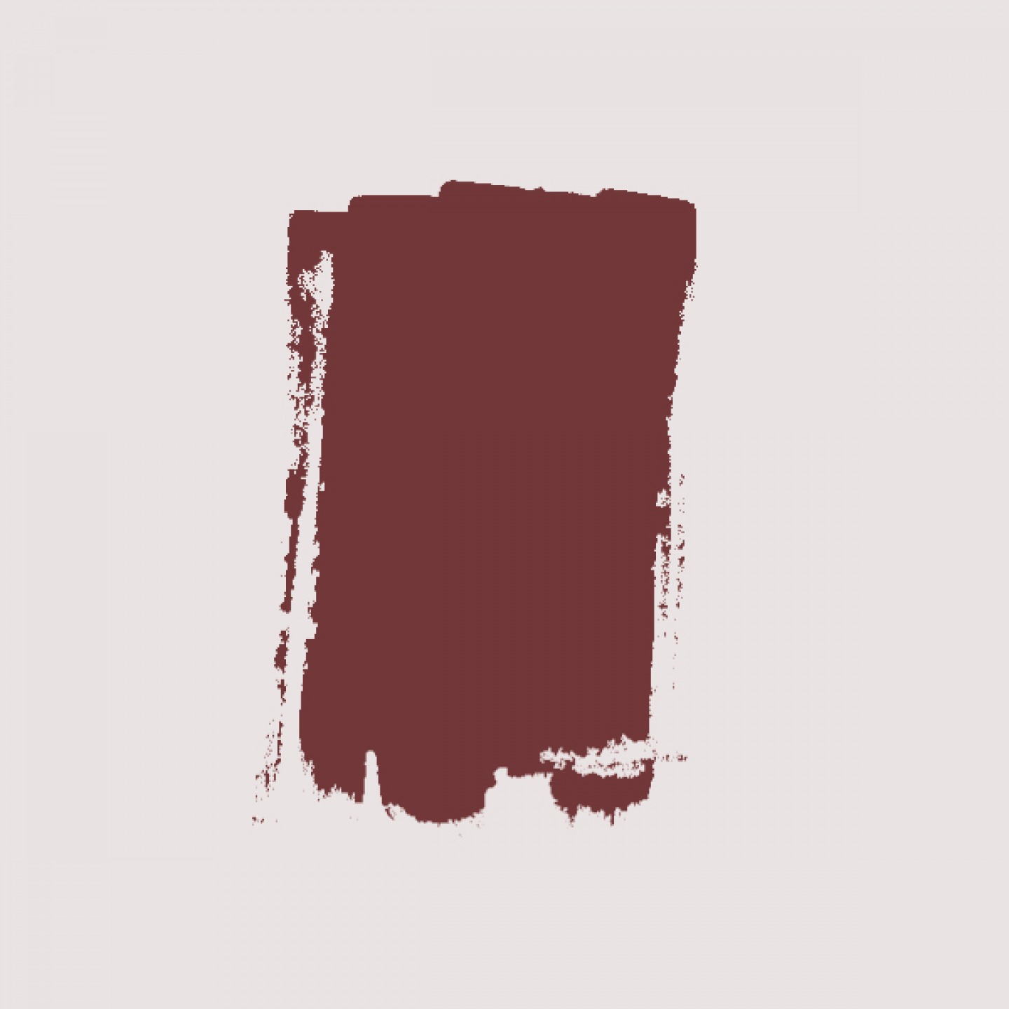 Absolute Matt Emulsion in Adventurer