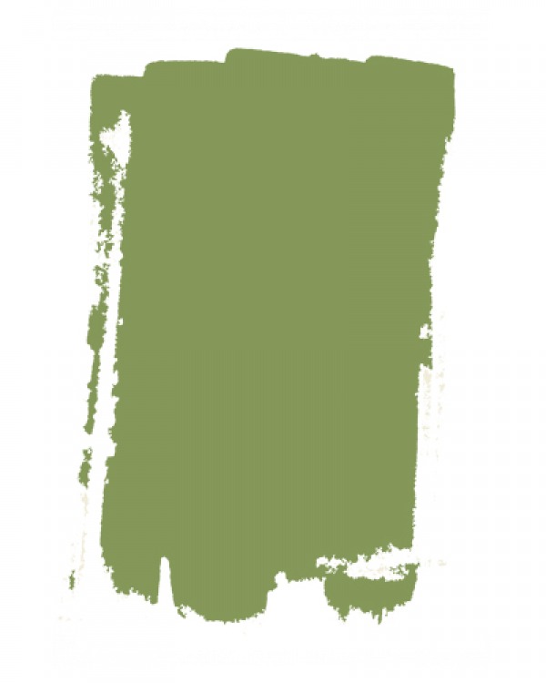 Vert De Terre kitchen paint