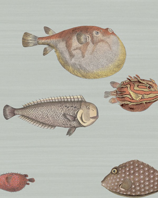 Acqaurio wallpaper, Fornasetti