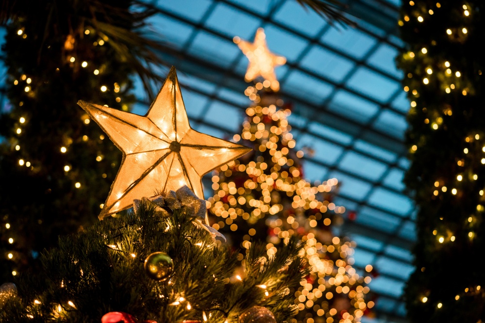 image: Unsplash