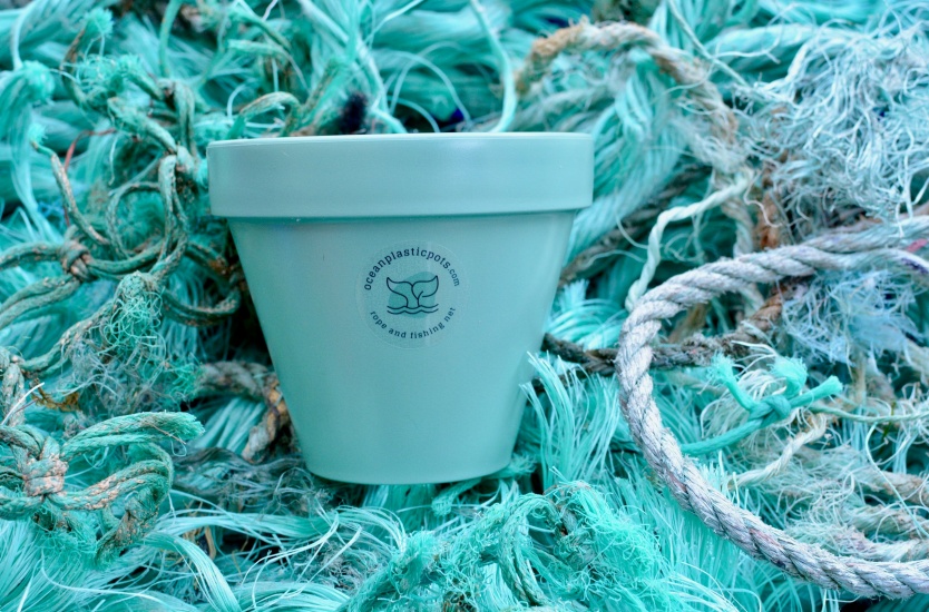 Sustainable Seaside Picks