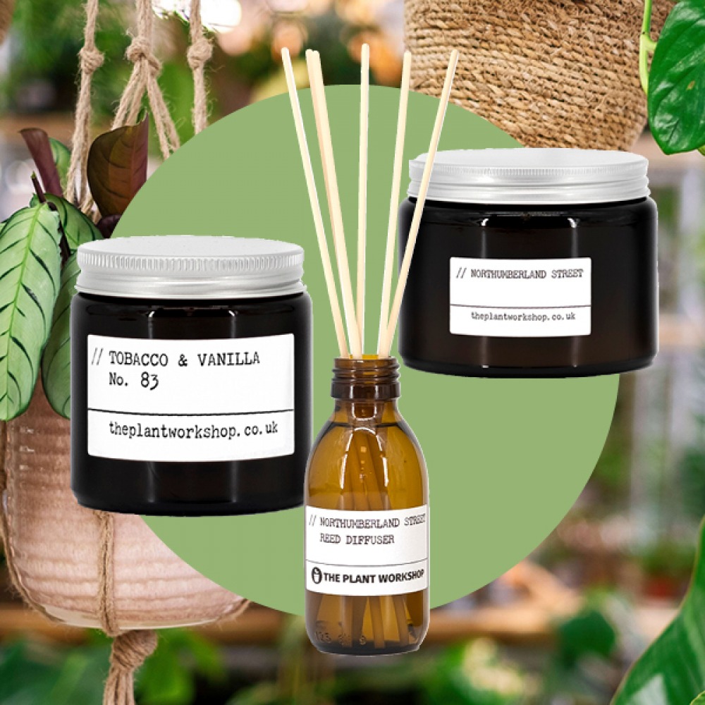 the plant workshop
