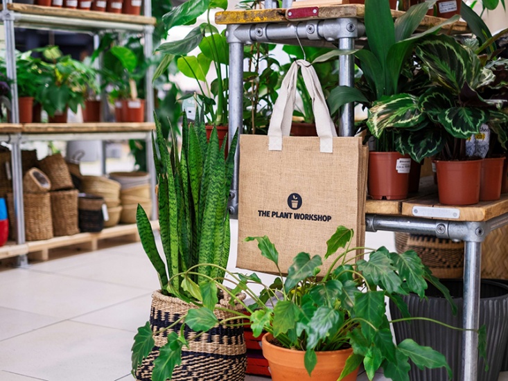 Discover How The Plant Workshop Bloomed Through Lockdown