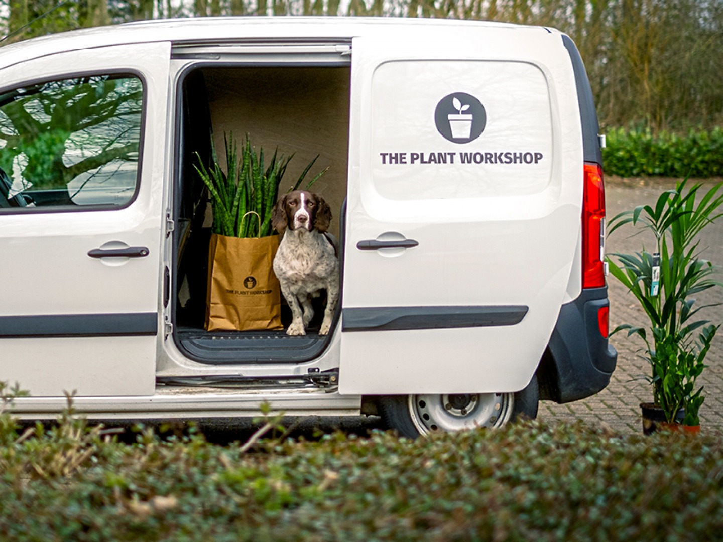 the plant workshop
