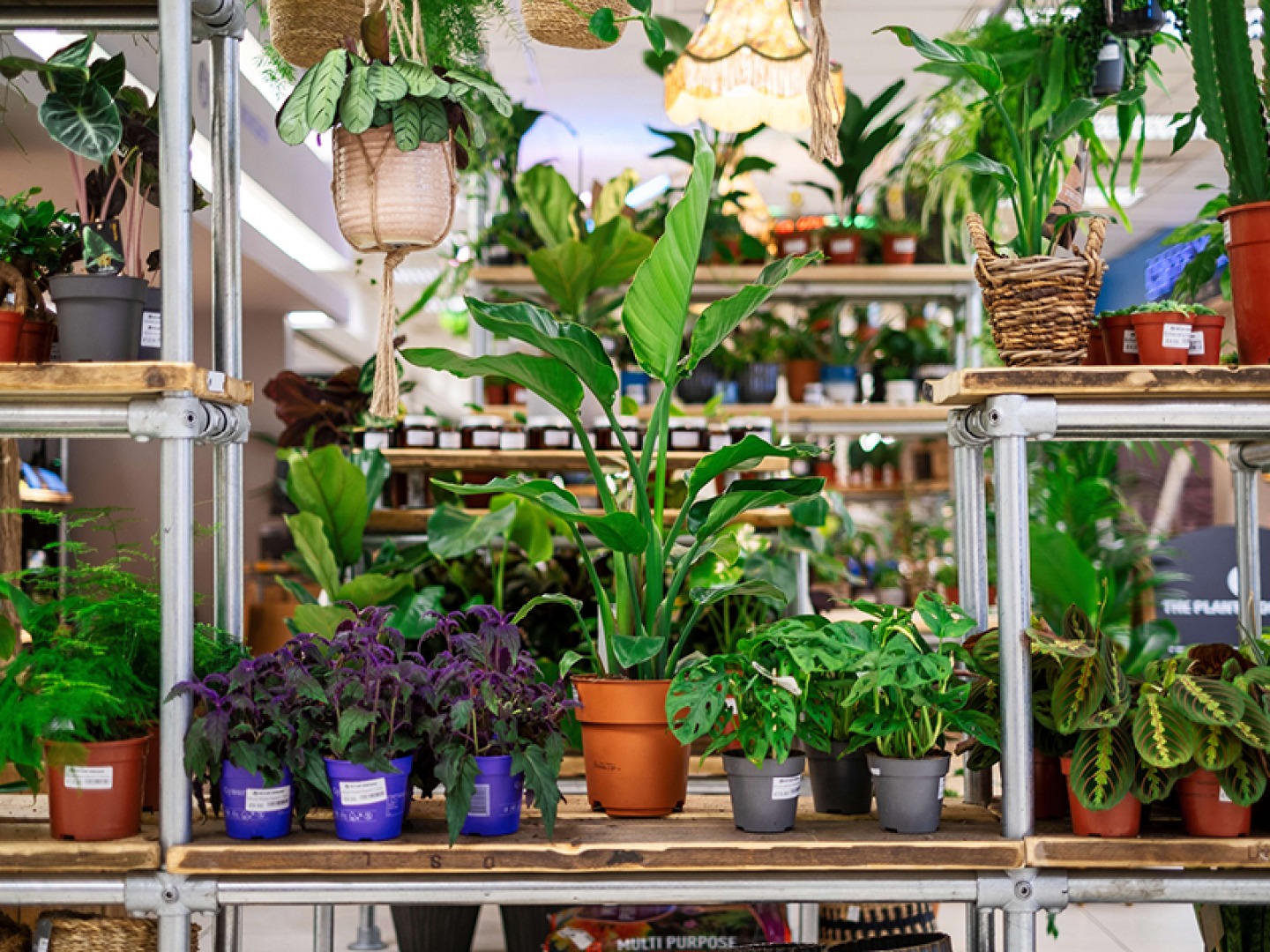 the plant workshop
