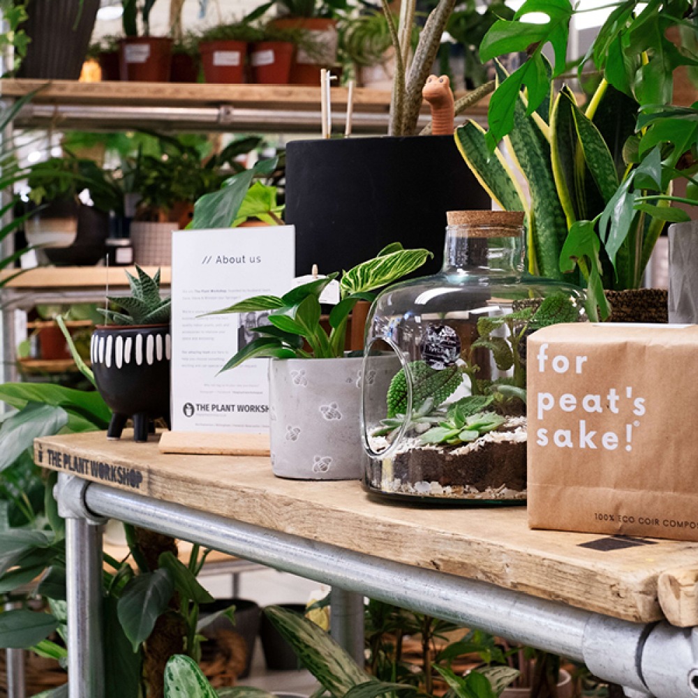 the plant workshop